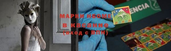 ПСИЛОЦИБИНОВЫЕ ГРИБЫ Бородино