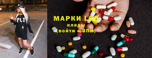 ПСИЛОЦИБИНОВЫЕ ГРИБЫ Бородино