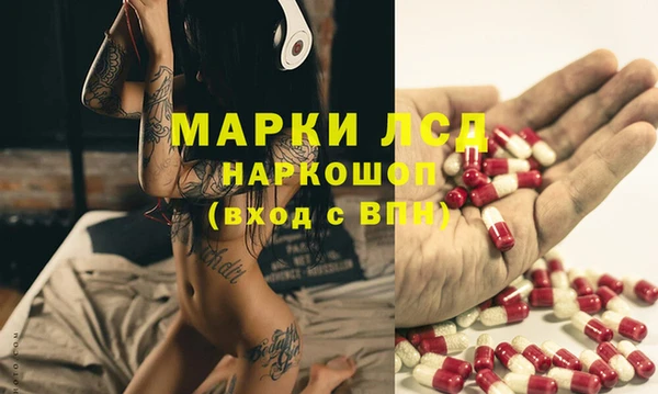 ПСИЛОЦИБИНОВЫЕ ГРИБЫ Бородино