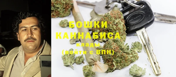 молекула духа Бугульма