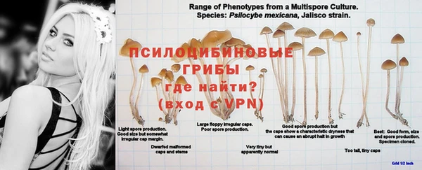 молекула духа Бугульма