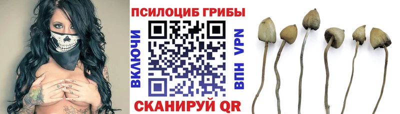 блэк спрут сайт  наркотики  Миньяр  Галлюциногенные грибы мицелий 